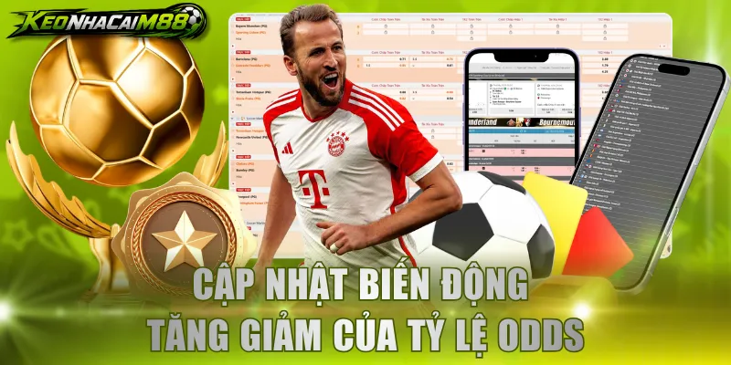 Cập nhật biến động tăng giảm của tỷ lệ odds