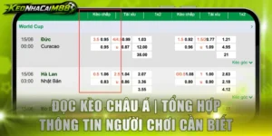 Đọc kèo Châu Á