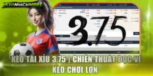 Kèo tài xỉu 3.75