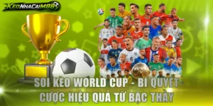 Soi kèo World Cup